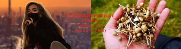 COCAINE Белокуриха