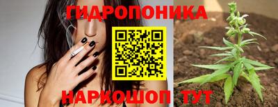 гашиш Аргун