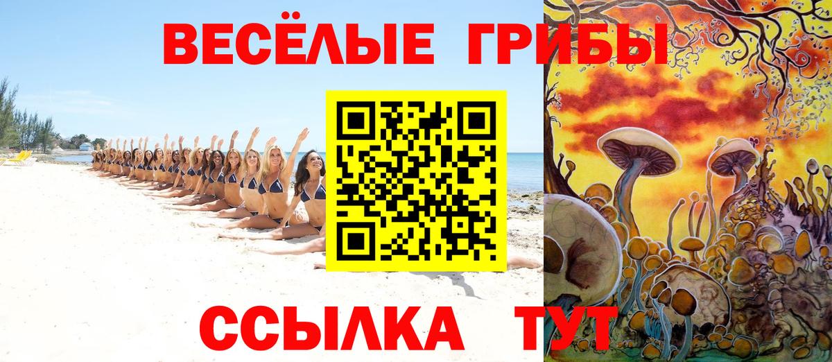 Псилоцибиновые грибы MAGIC MUSHROOMS Гудермес