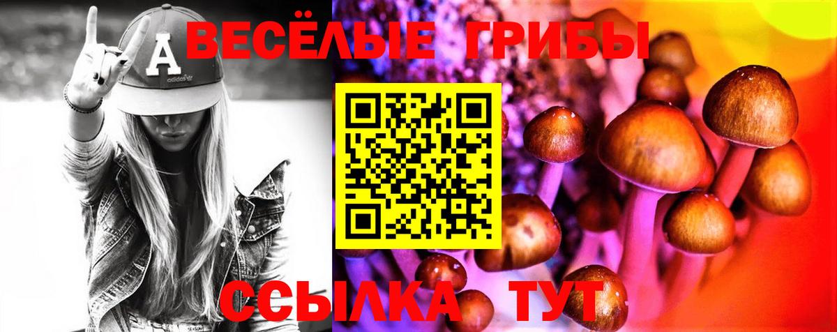 Галлюциногенные грибы мицелий Гудермес