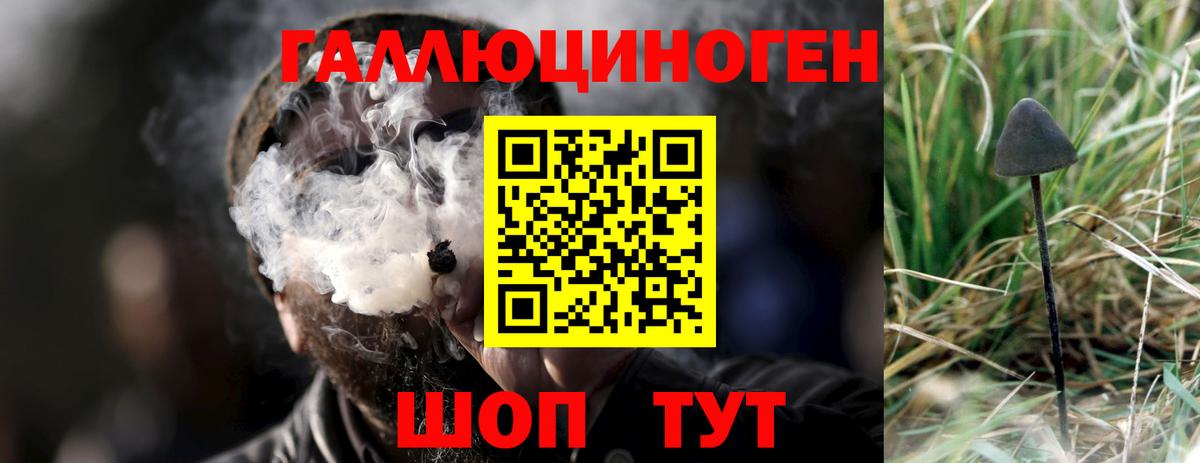 Галлюциногенные грибы MAGIC MUSHROOMS  Гудермес 